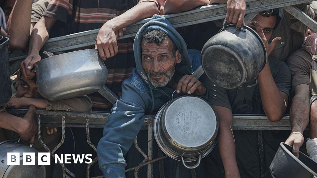 Seven more die from malnutrition in Gaza, Hamas-run ministry says – BBC